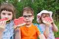 Three happy children eat red fresh watermelon Royalty Free Stock Photo