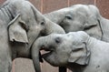 Three happy elephants Royalty Free Stock Photo