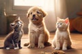 Three happy pets sitting together