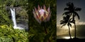 Three Hawaii Photographs together in a panel.