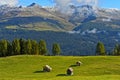 Three hay huts, Heustadl, on the Rotwand Meadow