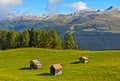 Three hay huts, Heustadl, on the Rotwand Meadow