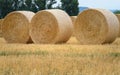 Three Hay round bales in field on a hot summer day against the blue sky, Catalonia village Royalty Free Stock Photo