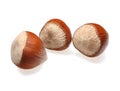 Three hazel nuts isolated