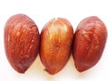 Three hazelnut seeds