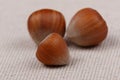 Three hazelnuts. Close-up Royalty Free Stock Photo