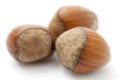 Three hazelnuts close up Royalty Free Stock Photo