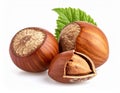 Three Hazelnuts with One Cracked on White Background Revealing Kernel Royalty Free Stock Photo