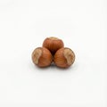 three hazelnuts in shell with ample white space around them Royalty Free Stock Photo