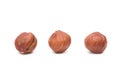 Hazelnuts on a White Background Royalty Free Stock Photo