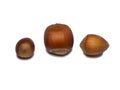 three hazelnuts on a white background. Nuts in shell. Isolate Ingredient for healthy nutrition Royalty Free Stock Photo