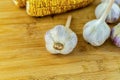 Three heads of dried white garlic lies on a wooden table on a background of corn Royalty Free Stock Photo