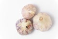 Three heads of garlic isolated on a white background.