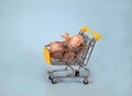 Three heads of garlic lie in a supermarket trolley on a blue background. Useful. Health. copy spaes