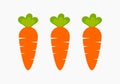 Three healthy carrots from vegetable garden