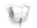 Three healthy teeth on white background