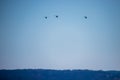 Three helicopters fly over tree-lined landscape