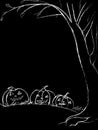 Three pumpkins under a tree, painted white on a black background on the holiday of Halloween