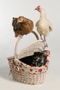 Three Hens with picnic basket