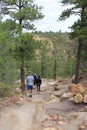 Three hikers, two male, one female walking down a hiking trail, with their backs to the camera in Colorado Springs, Colorado