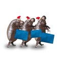 Three hippos going to supermarket.
