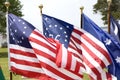 Three Historic Flags