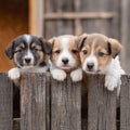 Three homeless baby puppy peeking up from wooden fence and looking sadly to camera. Dogs adoption,help for pets,Generative AI