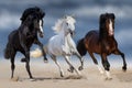 Three horse run