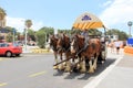 Three horses with a carriage and coachman Royalty Free Stock Photo