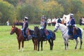 Three horses of different colors - brown, black and white. Royalty Free Stock Photo