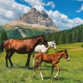 Three horses grazing in a field with mountains in the background Royalty Free Stock Photo