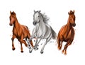 Three horses run gallop from splash of watercolors, colored drawing, realistic