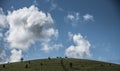 Three horses were grazing under the clouds Royalty Free Stock Photo