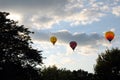 Three hot air balloons at sunset trees silhouette Royalty Free Stock Photo