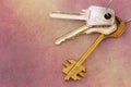 Three house keys on keyring over grunge background Royalty Free Stock Photo