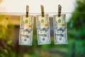 Three hundred dollar bills hanging on a clothes dryer pinned with clothespins close-up on a blurred background. Money laundering Royalty Free Stock Photo