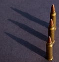 Three hunting bullets casting their shadow on a black background