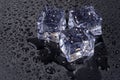 Three ice cubes with water drops isolated on black Royalty Free Stock Photo