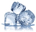 Three ice cubes on white background. Royalty Free Stock Photo