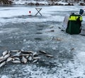 Three ice fishing rods lie on holes drilled in the ice. The caught fish lies on the ice.