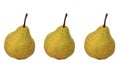 Three identical pears with a stalk side by side in a row on a white background