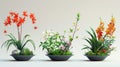 Three ikebana flowers with different flowers