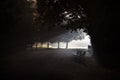 Three illuminated benches in the fog Royalty Free Stock Photo