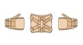 Three illustrations depict a beige lumbar support brace from different angles: front, Royalty Free Stock Photo