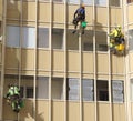 Three industrial climbers from the cleaning service wash the glass