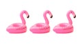 Three inflatable small flamingos on an isolated white background. Coasters for the pool. The concept of summer pastime. Beach