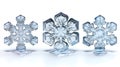 Three intricate snowflakes are arranged side by side, each exhibiting unique