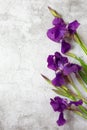 Iris flowers are on a gray marble background.