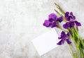 Three iris flowers and pure white carpet are on a gray marble background.