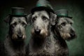 Three Irish Wolfhound in green hats. International celebration of the St. Patrick\'s Day. Royalty Free Stock Photo